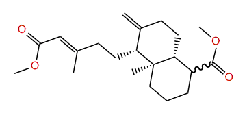 ent-Agathic acid methyl ester